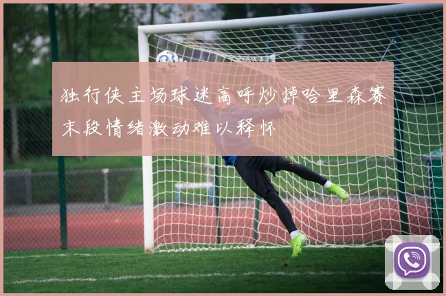 独行侠主场球迷高呼炒掉哈里森赛末段情绪激动难以释怀
