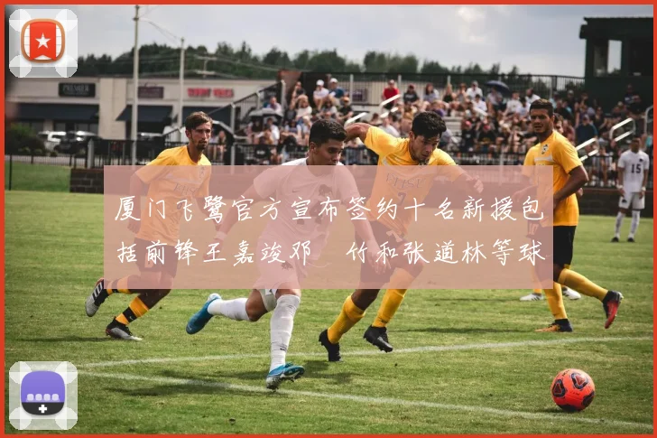 厦门飞鹭官方宣布签约十名新援包括前锋王嘉竣邓棽竹和张道林等球员